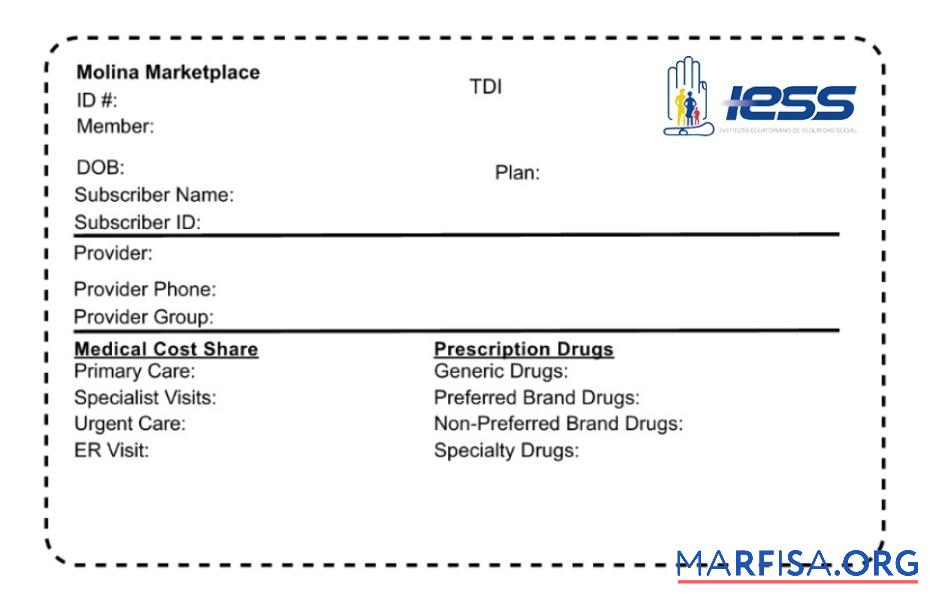 Realistic Ecuador health insurance card download for verification